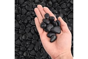 WHANLEY L&Q Black River Rocks for Landscaping Polished Pebbles Cover Plants Rocks Decorative Stones(Stones Size:0.8-1.4 Inches) Rocks for Plants, Vases, Aquariums, Terrarium,Outdoor Gardening 2 LB
