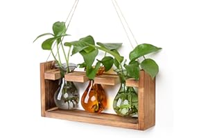 YYHGLASS Plant Propagation Station Plant Terrarium Unique Birthday Gifts for Women Home Office Decor Planter with Wooden Stand - 3 Bulb Glass Vase