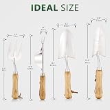 Kingswood Green 4-Piece Garden Tool Set - Ash Handles, Stainless Steel view 4