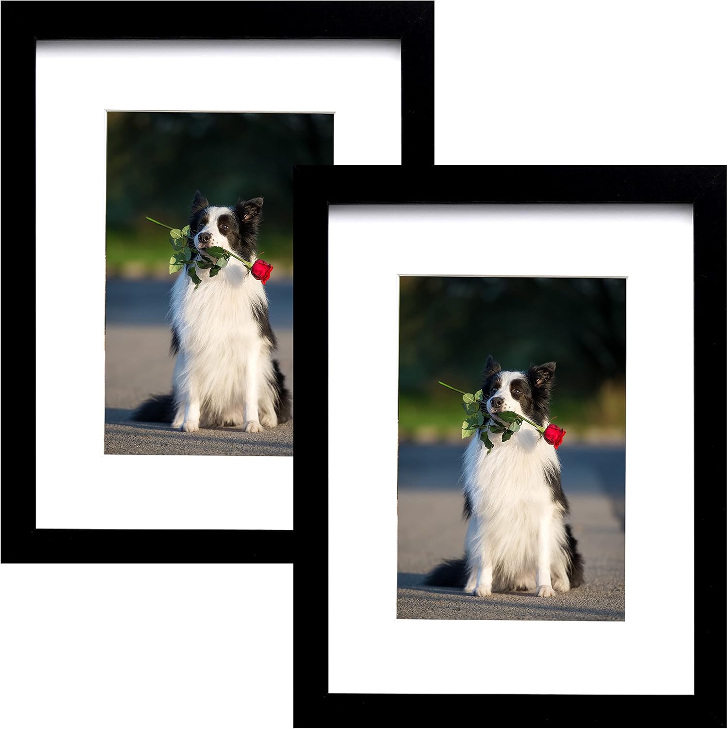 Photo Albums, Frames & Accessories - PEALSN 5x7 Picture Frame Set of 2, Made of High Definition Real Glass, Display 4x6 with Mat or 5x7 Without Mat, Photo Frames for Wall Mounting or Table Top Display, Black