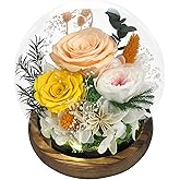 FIACO Valentines Day Gifts for Her Preserved Flowers in Glass Dome Long-Lasting Eternal Fresh Roses Birthday Gifts for Women Mom Grandma Wife Girlfriend Forever Flowers for Delivery Prime Decorations