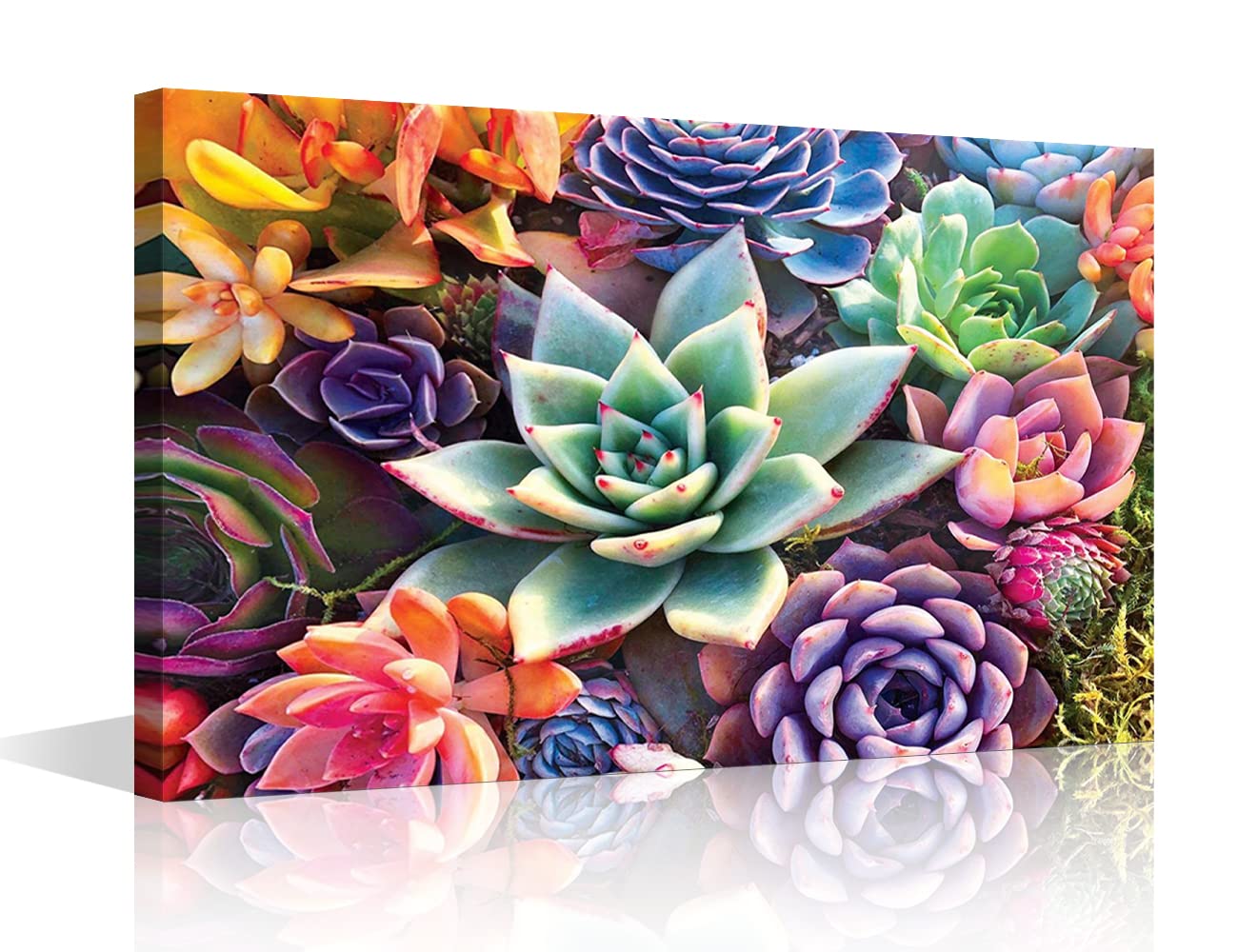 Canvas Wall Art for Living Room Bathroom Wall Decor Colorful Succulent Plants Painting Ready to Hang Home Decorations for Office Canvas Prints 24" x 16"inch