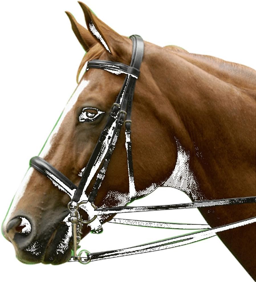 Exselle Dressage Bridle