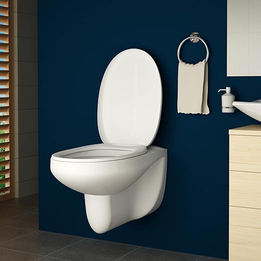 Aquamarin Toilet Seat Set Dimensions (L / W / H) approx. 54/36/35 cm