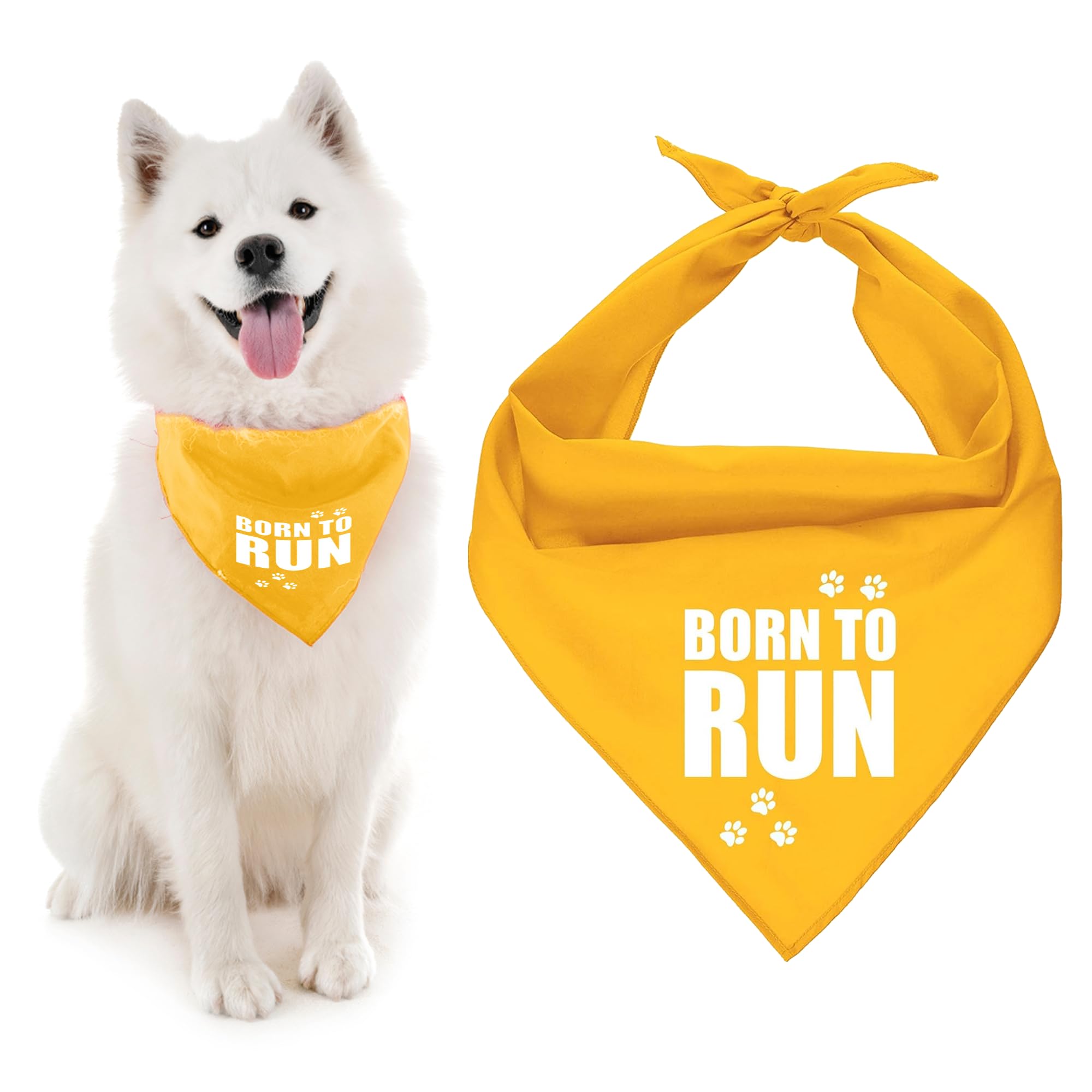 Parisian Pet Dog Bandana for Dogs and Cats - Dog Bandanas Large and Small Kerchief Scarfs - Dog Bandanas Born To Run