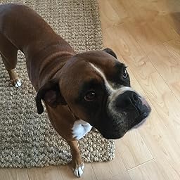 Amazoncom Liquid Vet Joint Formula Fast Acting