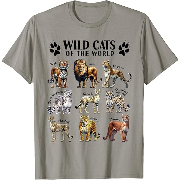 Amazon.com: Wild Cats of the World Educational Animal Big Cat