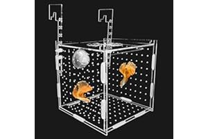 Hamiledyi Acrylic Breeding Isolation Box - Transparent Aquarium Hatchery for Guppy/Shrimp/Small Fish, Safe Nursery Tank with Air Tube & Suction Cups(5.9" × 5.9" × 5.9")