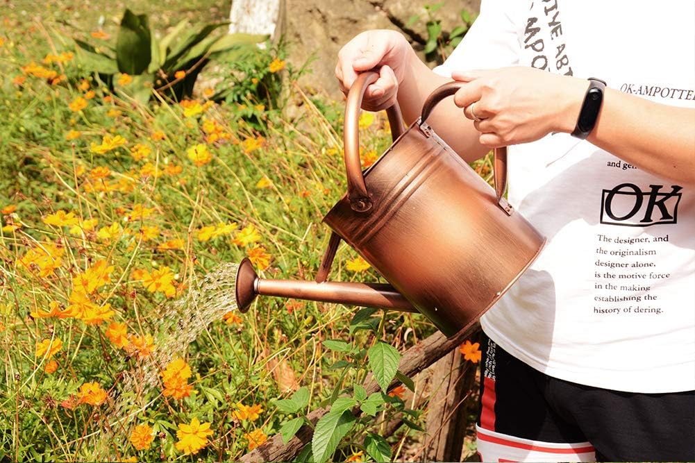 yourjoy Steel Watering Can Sliver Galvanized Steel Watering Can with Copper Accents, Removable Rosette-Diffuser, One-Gallon : Garden & Outdoor