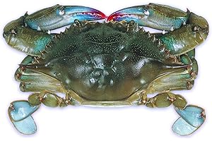 HANDY SEAFOOD Raw Domestic Soft Shell Crabs (12 Ct. Jumbos) - Frozen 1291020