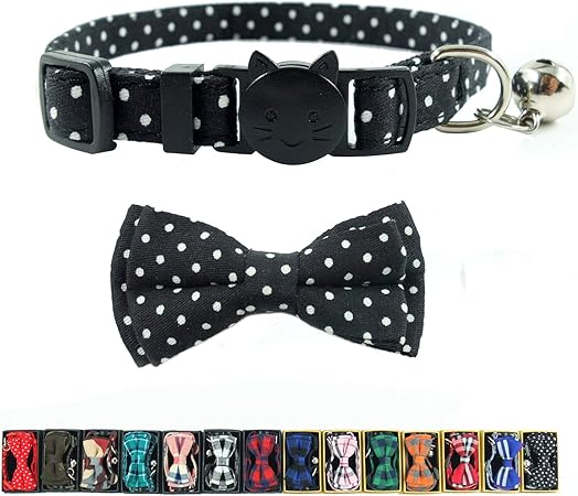 cute kitty collars