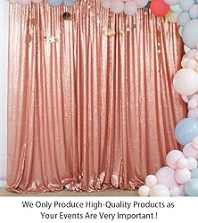 ShiDianYi 4FTX6FT-Blush-SEQUIN Photo