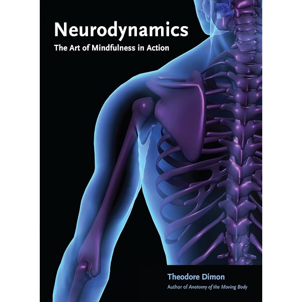 Clinical Neurodynamics: 9780750654562: Medicine & Health Science