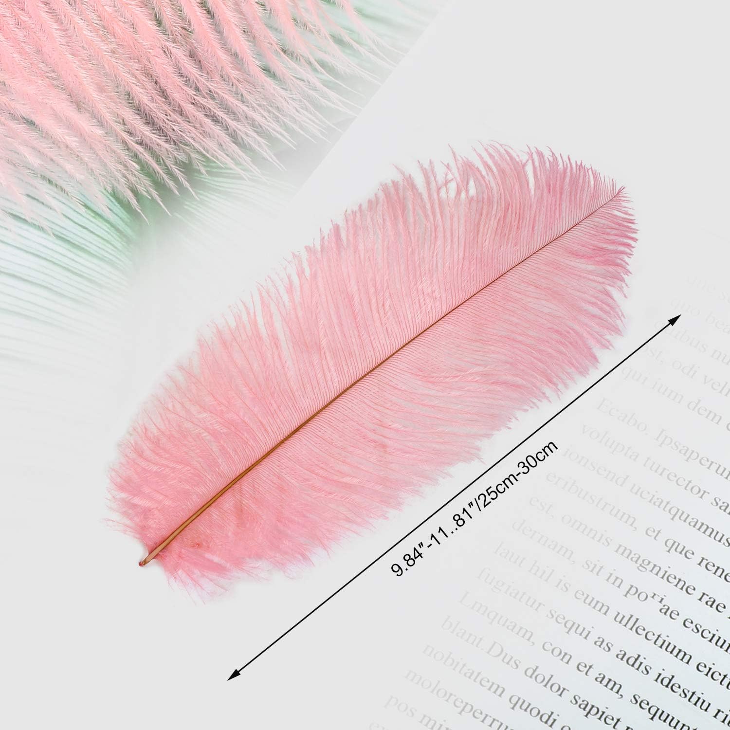 MWOOT 10pcs Natural Ostrich Feathers - Image 4