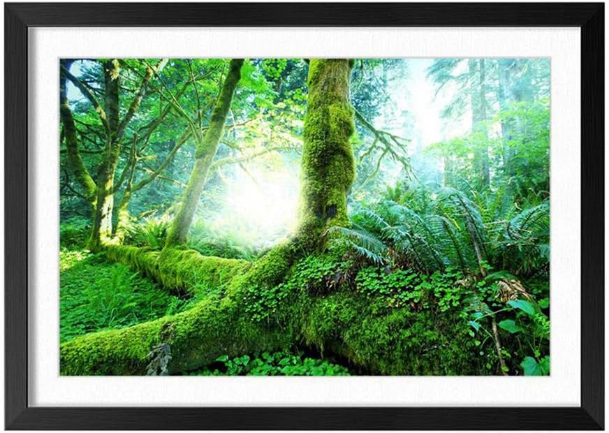CHENXE (Tropical Forest Trees Moss Green) Black Wood Frame Home Wall Decor Art Print Poster 14x20inch