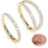 GAGABODY 2 Pcs Nose Rings 20G 18G 16G 14G 12G 10G 8G Surgical Steel Piercing Rings for Nose Septum Cartilage Helix Tragus Conch Rook Daith Lobe from 5mm to 16mm Seamless Hoop Unisex Hinged Earrings