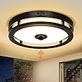 Slypadan Outdoor Motion Sensor Flush Mount LED Light, 12" Dusk to Dawn Porch Modern Black Exterior Light for Farmhouse Garage Entry