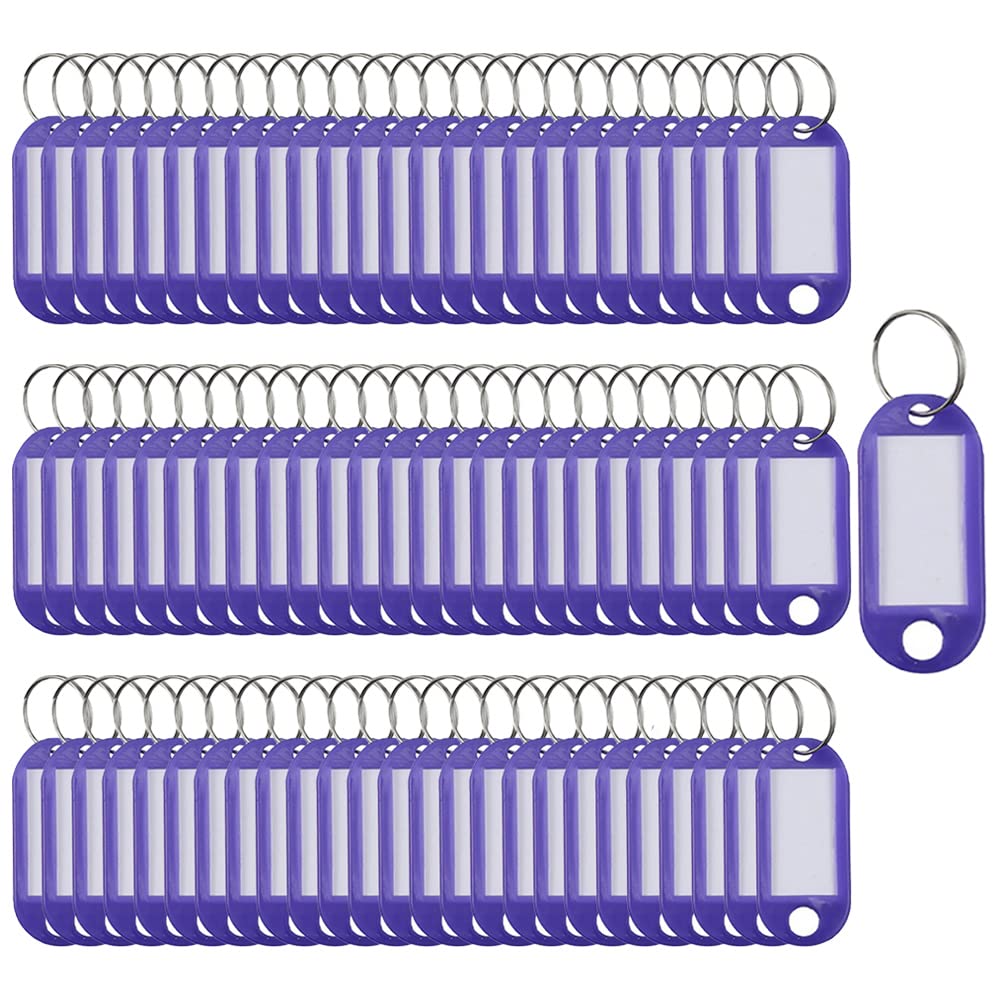 SagaSave Key Tags 100 Pieces Keyring Tags Key Labels Plastic Key Fobs Id Tags Key Rings Name Tags Luggage Id Labels With Labels Split Ring Keyring (Purple)
