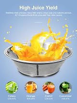 Reemix Juicer Centrifugal 3-Inch Wide Mouth Dual Speed Stainless Silver 500W view 8