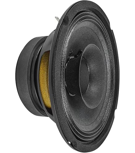 Amazon.com: PRV AUDIO 8FR250 8 Inch Full Range Speaker, 8 Ohms