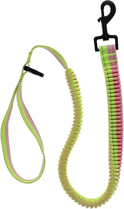 pitbull puppies with cropped ears for sale