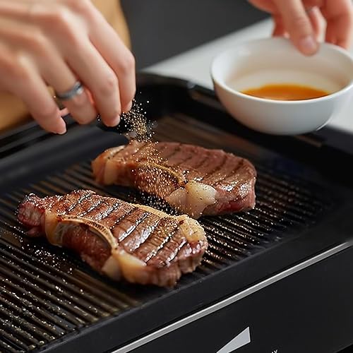 Electric Bbq Best Electric Grill Indoor Indoor Grills Ninja Food