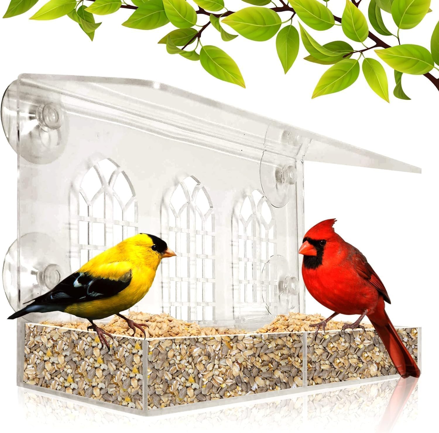 Window Bird Feeder - Removable Feed Tray - Drains Water - See Wild Birds Like Finches, Cardinals and Chickadees