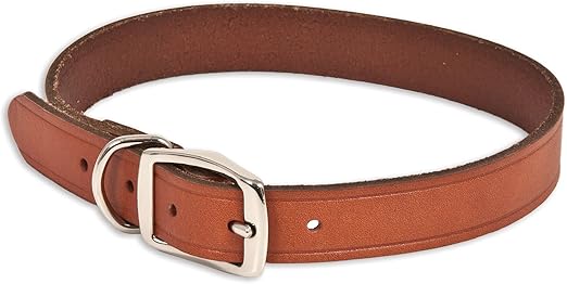 leather dog collars amazon