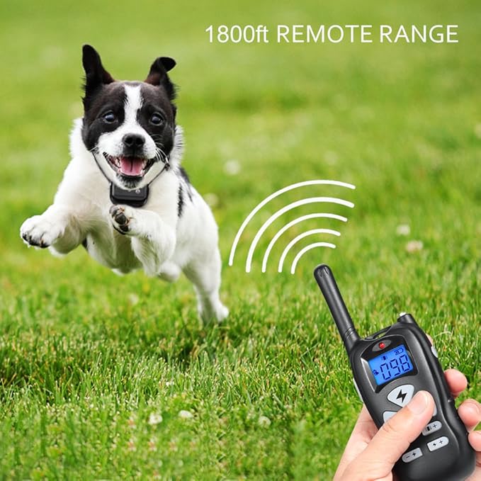 ticent dog training collar