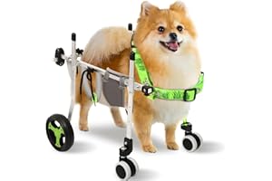 BUIFAC 4-Wheel Dog Whee/lchair for Back Legs, Helps Pets Walk Run and Play Again, Suitable for Small/Medium Pets Under 13 lbs