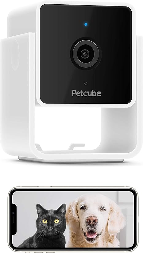petcube amazon
