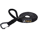 OllyDogMountain Leash, Rope Leash for Small, Medium, Large Dogs, Climbing-Inspired Lead with Padded Handle and Metal Hardware, 5ft, Dog Accessories (Raven Bark)