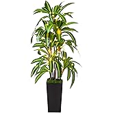 Artificial Dracaena Tree with Lights, 5Ft Fake Plants with Black Tall Planter - Fake Tree Tall Faux Plants Indoor Floor Plant with Moss - Artificial Plants Indoor for Office Living Room Home Decor