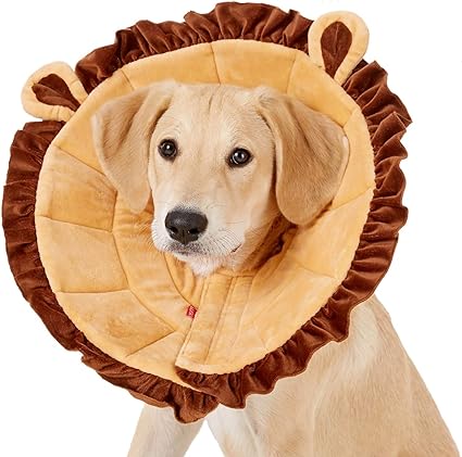 Amazon Alfie Pet Noah Lion Dog Cat Recovery Collar Dog Cone Collar