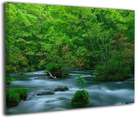 Amazon Co Jp K Duck 地球の撮り方 ツツジ映える新緑の奥入瀬渓流 青森県十和田市 アートパネル アートフレーム アートポスター Art キャンバス絵画 壁掛け インテリア 現代 壁飾り ポスター 写真 木枠付きの完成品 新築飾り 贈り物 40x50cm ホーム キッチン
