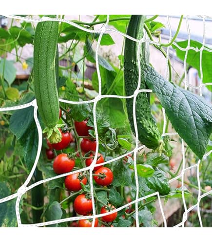 大型▪️角網 Amazon.com: Wire Cloth Man 鍍鋅六角網20 公尺雞線、籠線、石頭