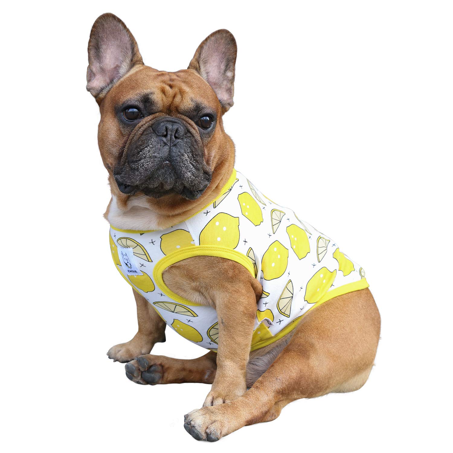 iChoue English Bulldog Cartoon T Shirts Cute Clothes for Medium Dogs Vest Tank Tops Large French Frenchie Pug Boston Terrier Pitbull Lemon - XL โ image 1