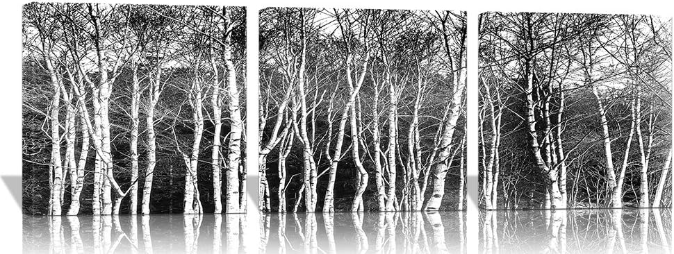 Spirit Up Art Huge Black and White Abstract Art Trees, Picture Painting on Canvas Print Stretched and Framed, Modern Home Decorations Wall Art set of 3 Each is 5050cm #cy-775