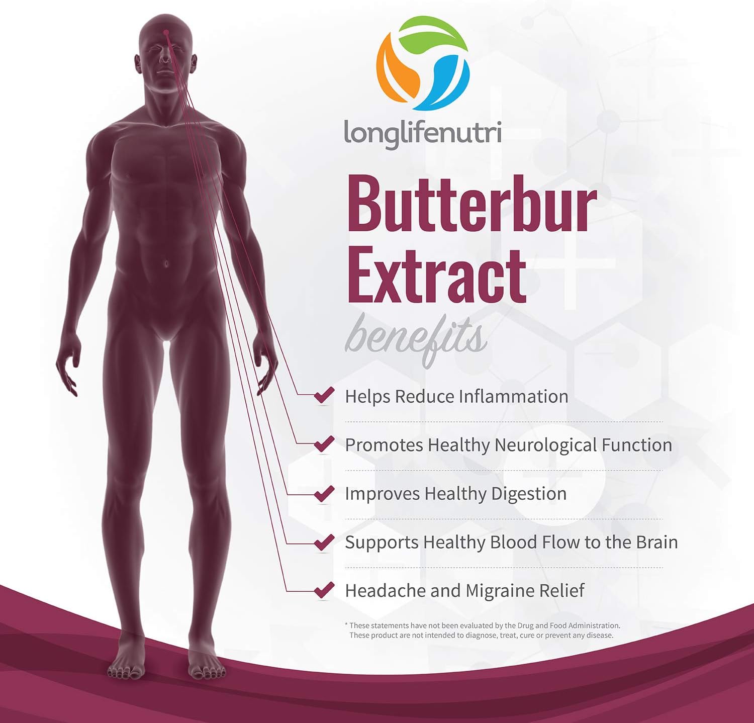 Butterbur Extract 100mg 180 Vegetarian Capsules | Made in USA | Natural Headache Supplement | Migraine and Allergy Relief | Supports Healthy Bladder and Inflammation | 100 mg Pure Powder Pill Formula: Health & Personal Care