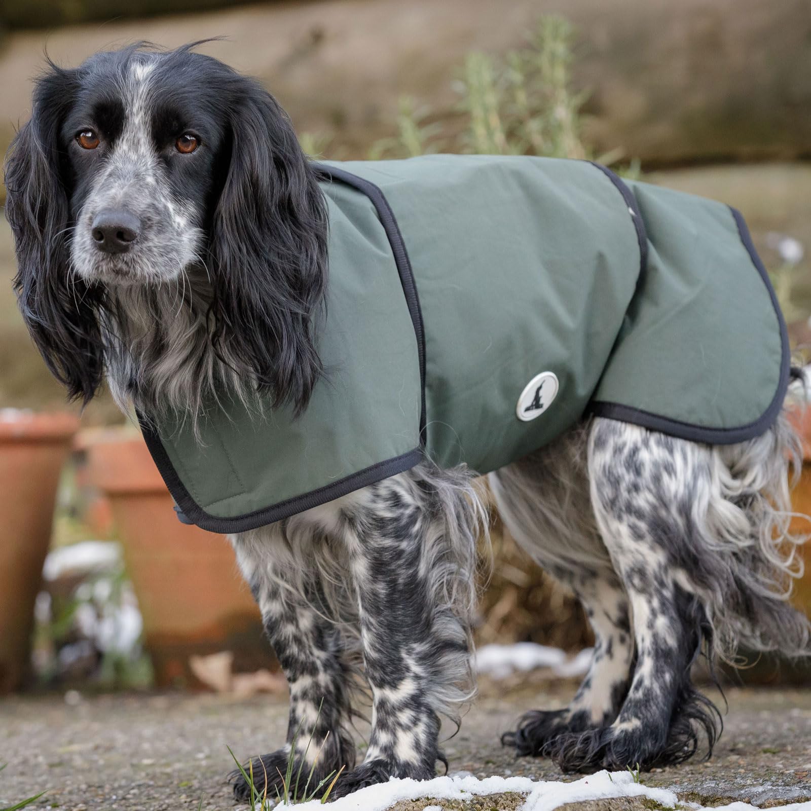 Dog & Field 2-in-1 Waterproof Dog Coat, S โ image 1