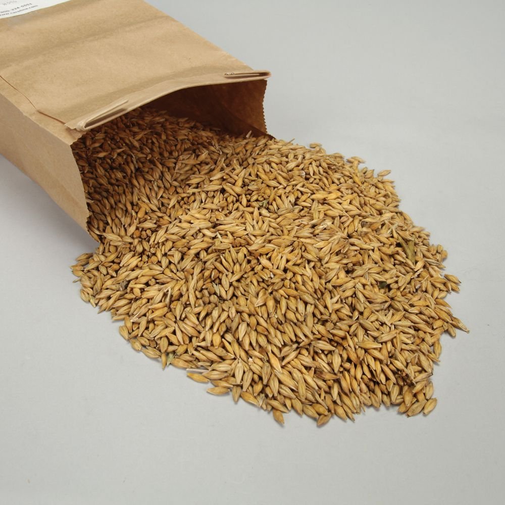 Barley, Viable Seed, 1 lb Industrial & Scientific