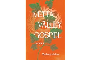 Metta Valley Gospel: Book 1 (The Metta Valley Gospel Series)