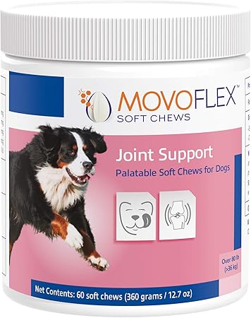 large dog joint supplements