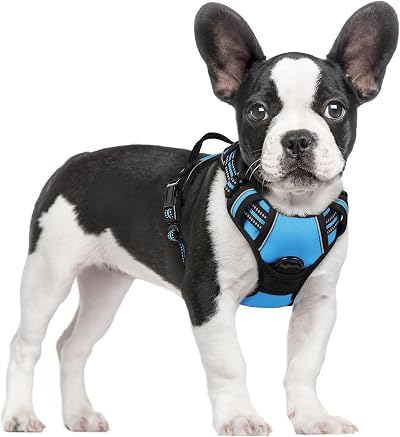 rabbitgoo Dog Harness Small No Pull Front Back Leash Clips Reflective Baby Blue