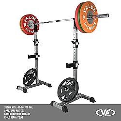 Valor Fitness BD-9 Independent Power Squat Stands
