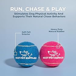 Best Pet Supplies Interactive Squeaky Dog Chew
