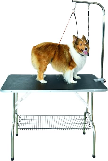 Shelandy Stainless Steel Pet Dog Grooming Talbe With Arm And Two Loops Small 80 50cm Amazon Ca Pet Supplies