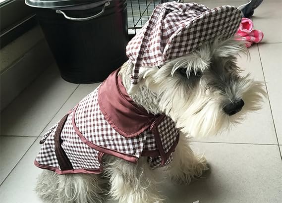 sherlock holmes dog outfit