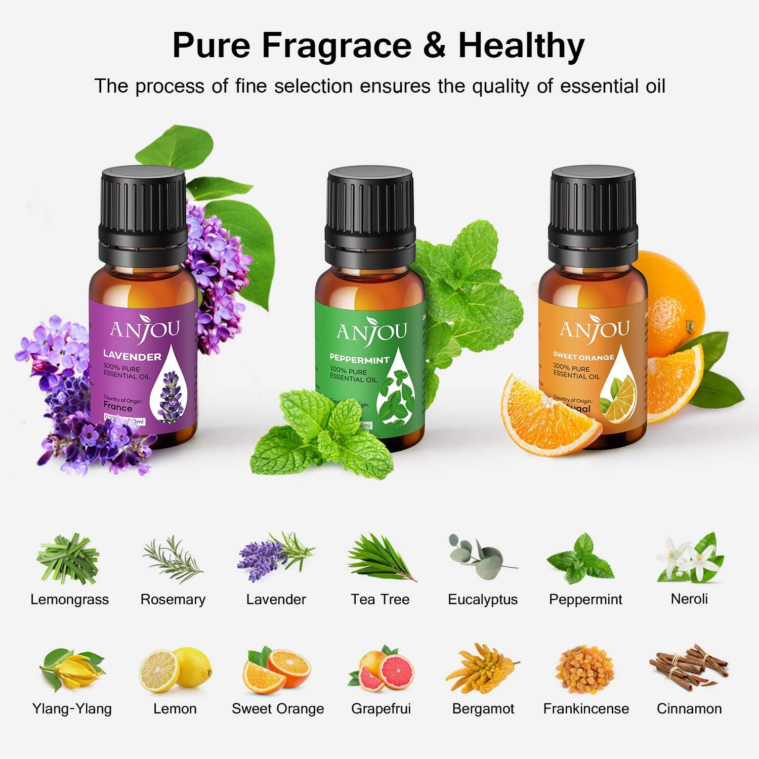 Essential Oils Set Anjou 14 x10ml Aromatherapy Essential Oil Large eBay