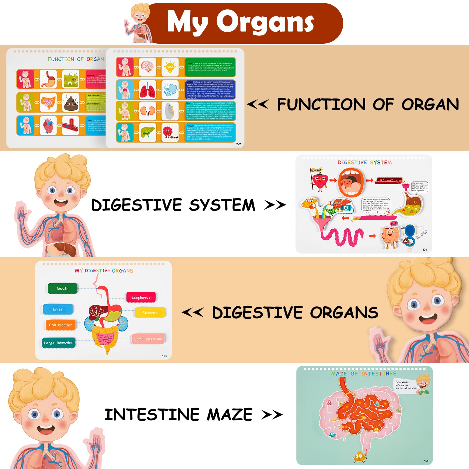 Mua Freebear Montessori Busy Book for Kids, Human Body Anatomy Book for ...